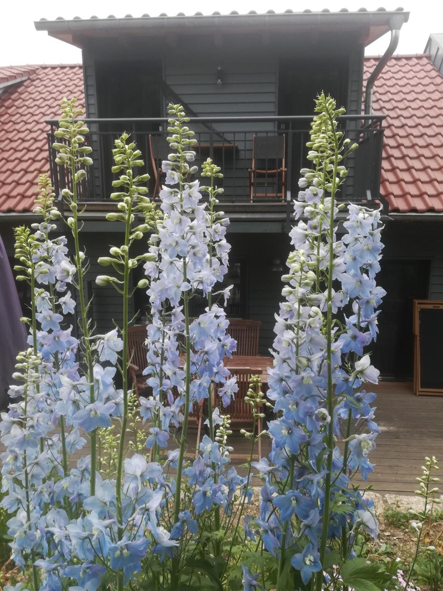 Ferienhof"Waldesel Rippersroda" Exterior foto